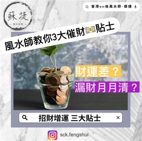 櫻花樹 風水|種櫻花招財？風水師教你妙招